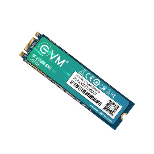 EVM 256GB M.2 SATA SSD EVMM2/256GB